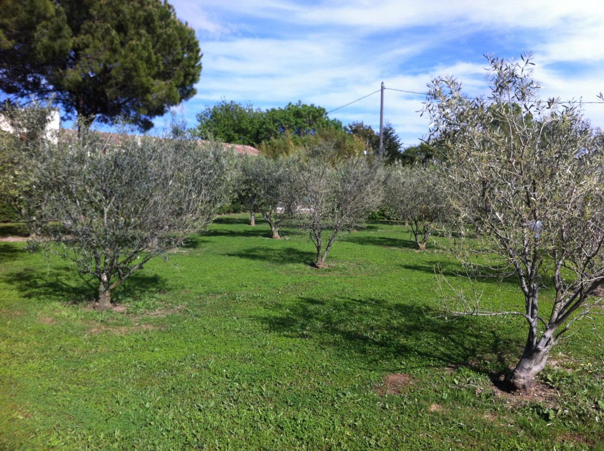 Apartamento Le Micocoulier La Crau Exterior foto